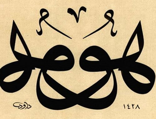 Islamic Sayings on Happiness and Wisdom